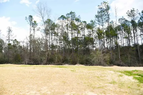 Pace, FL Homesite