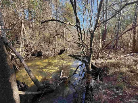 Pace, FL Homesite with Acreage