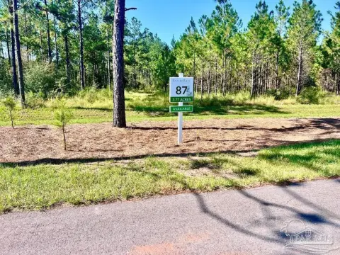 Wooded Homesite in NatureWalk