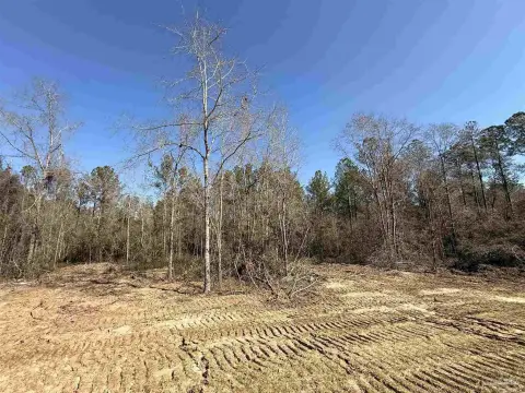 Pace, FL Creek Access Land