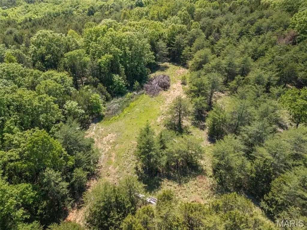 Picture 41