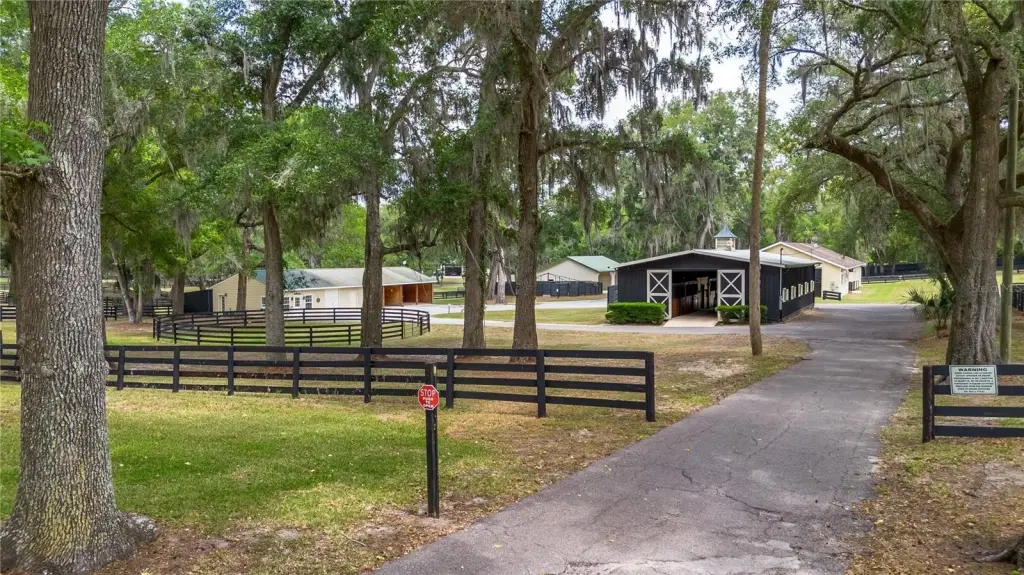 Picture 21