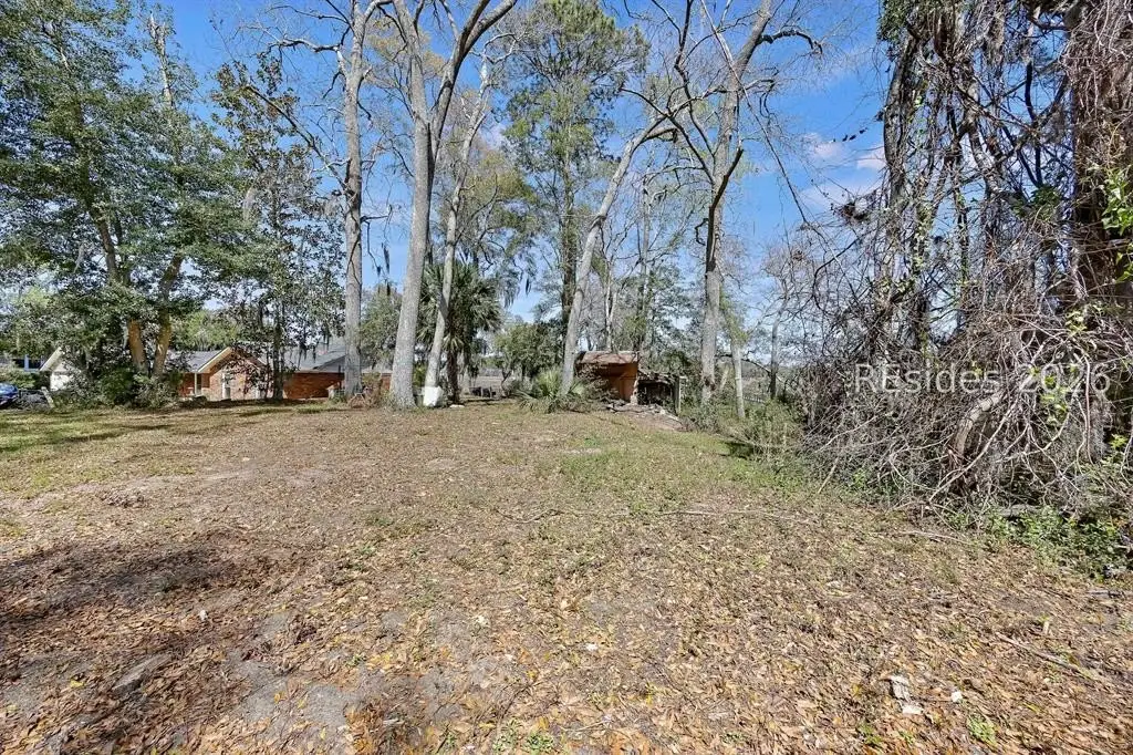 Picture 8