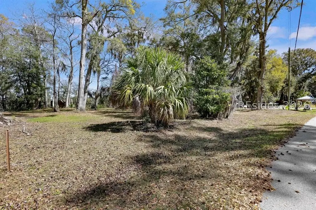 Picture 3