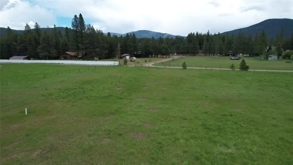 Picture 45