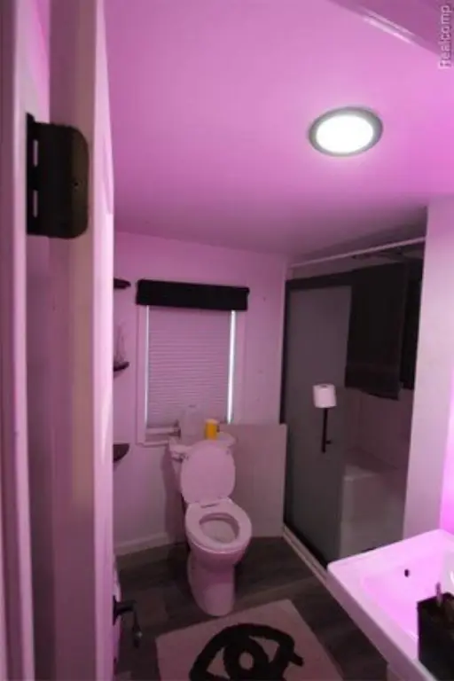 Picture 39
