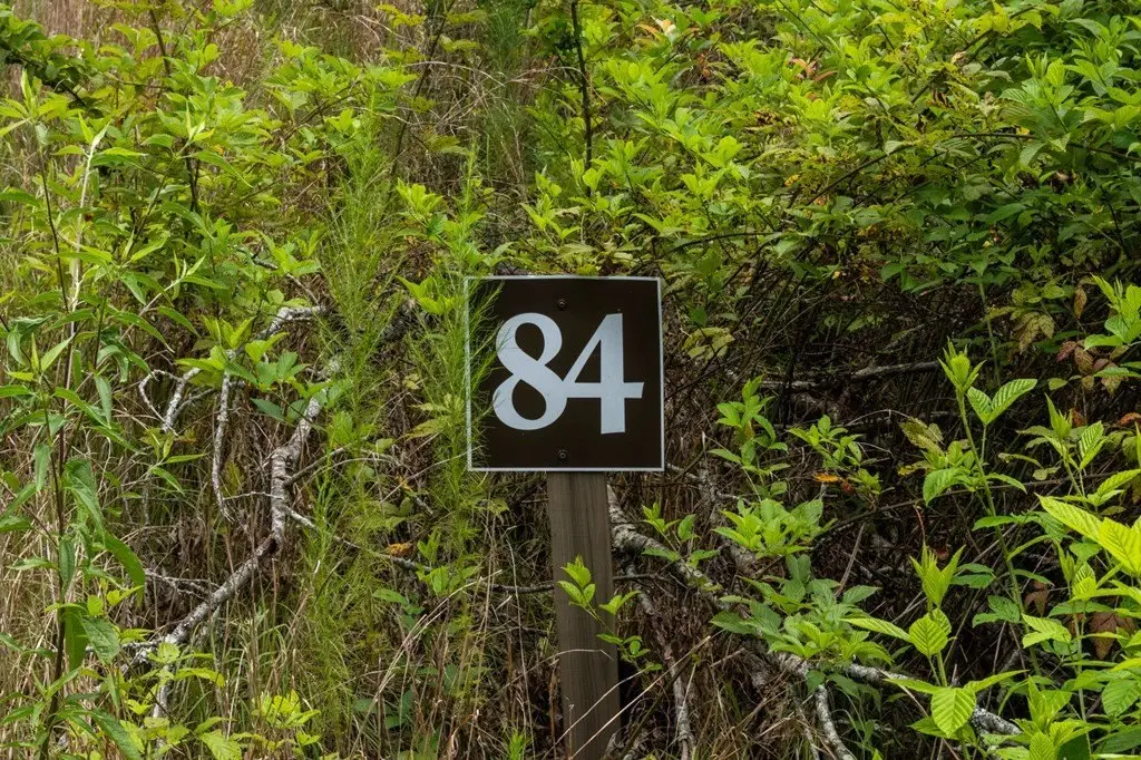 Picture 28