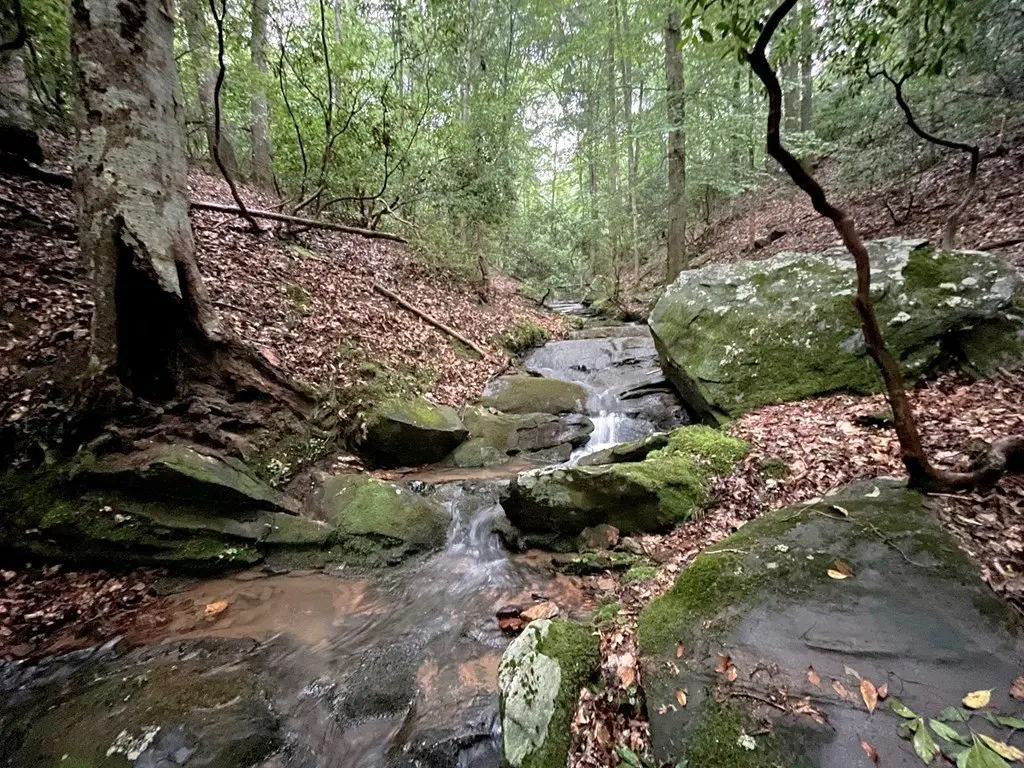 Picture 19