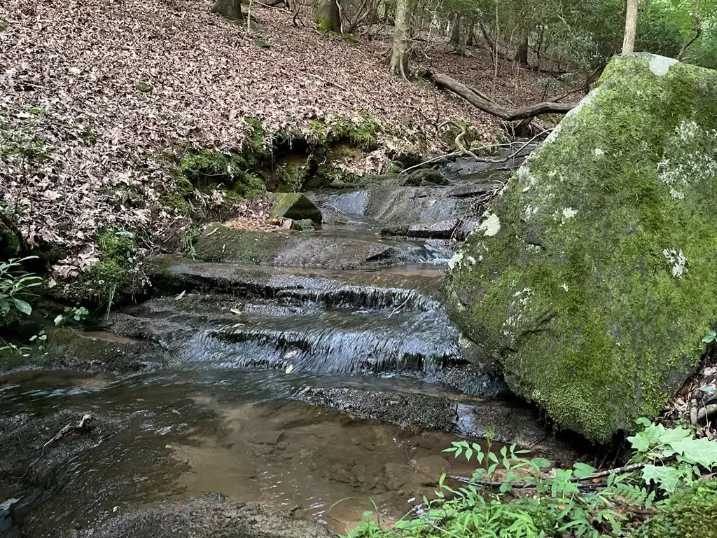 Picture 13