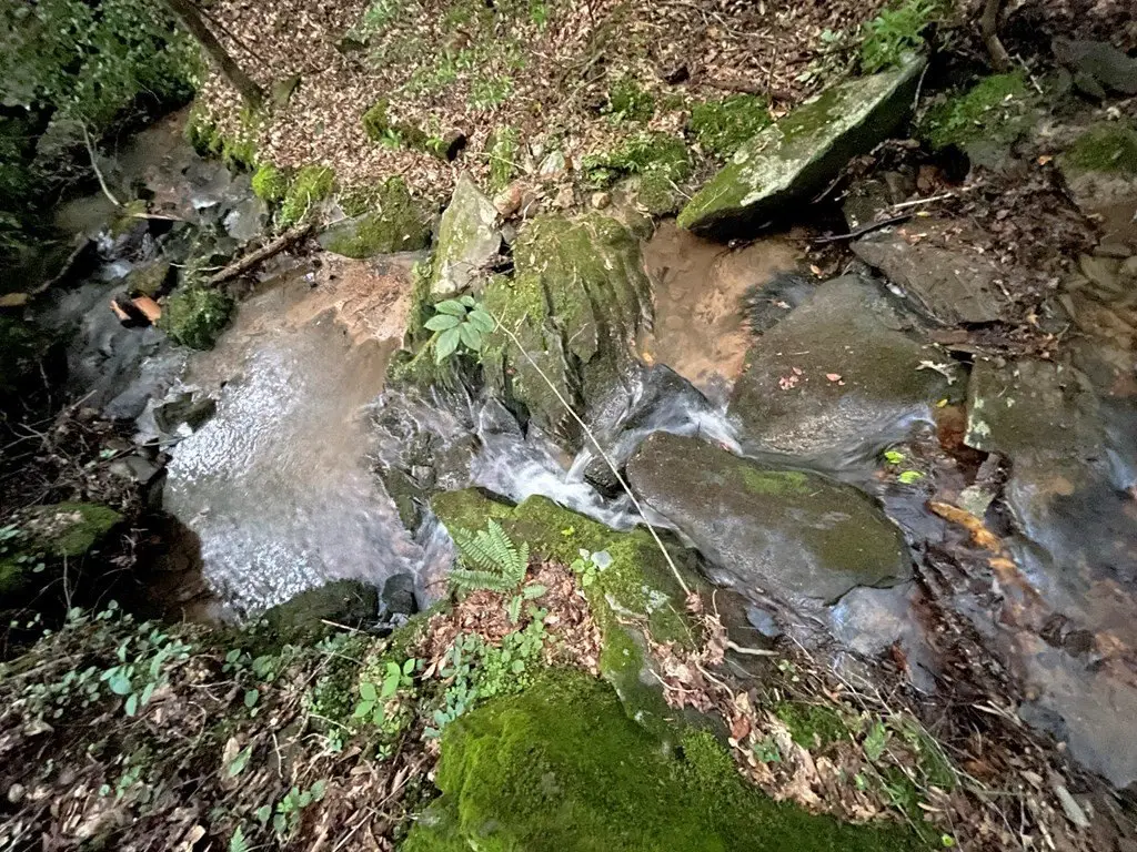 Picture 14
