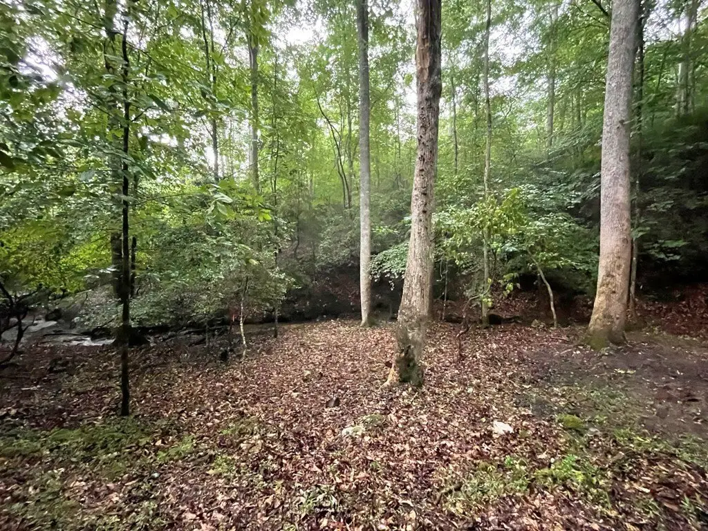 Picture 26