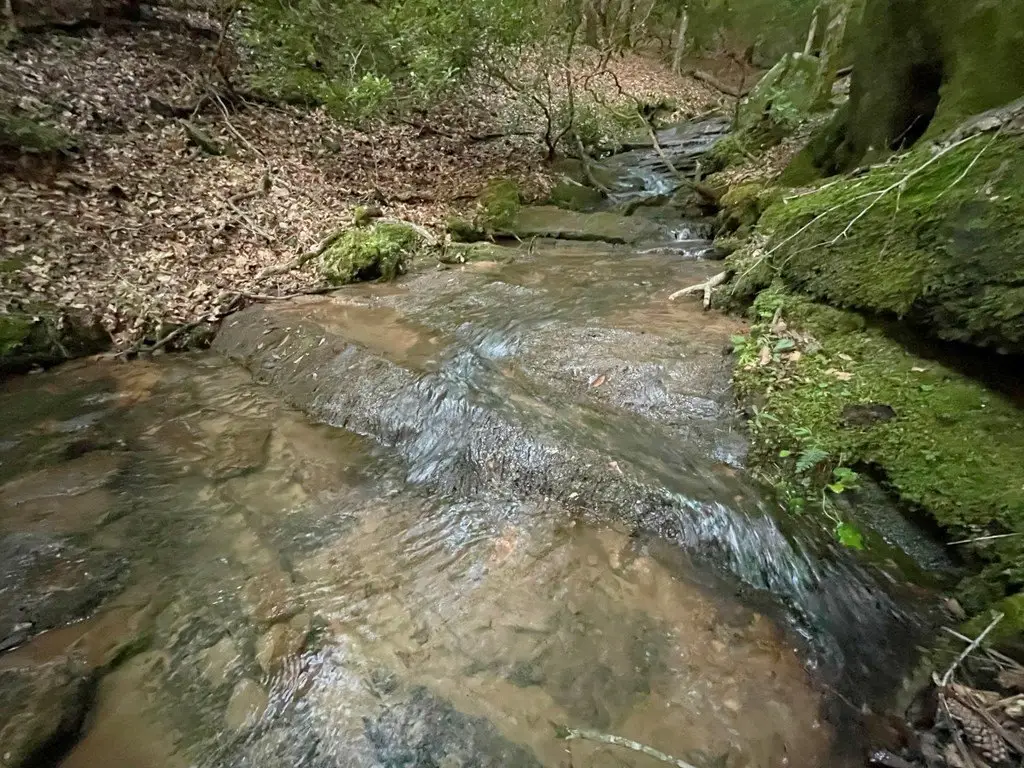 Picture 12