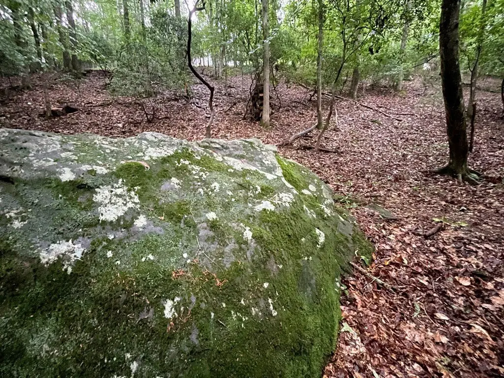 Picture 20