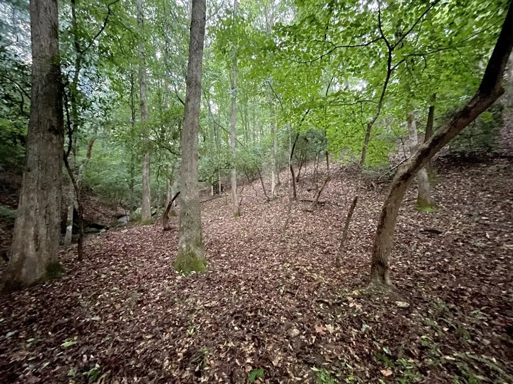 Picture 22