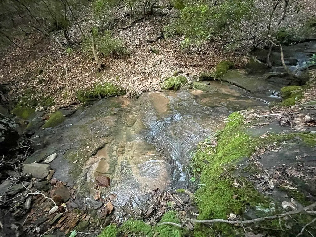 Picture 5