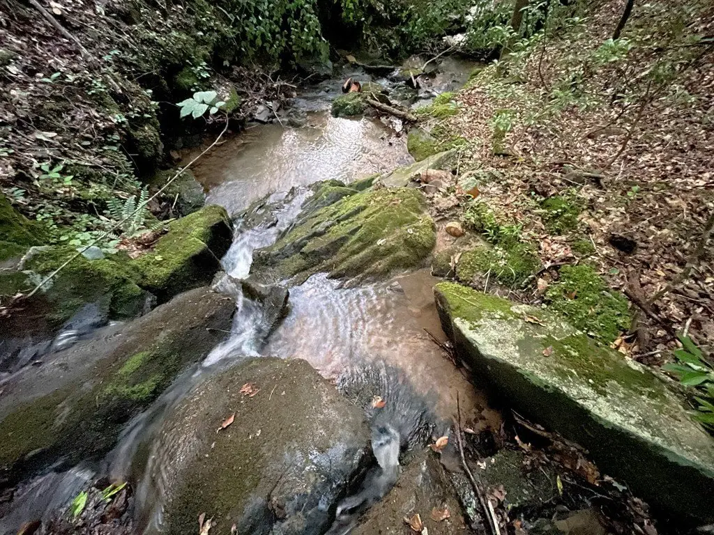 Picture 4