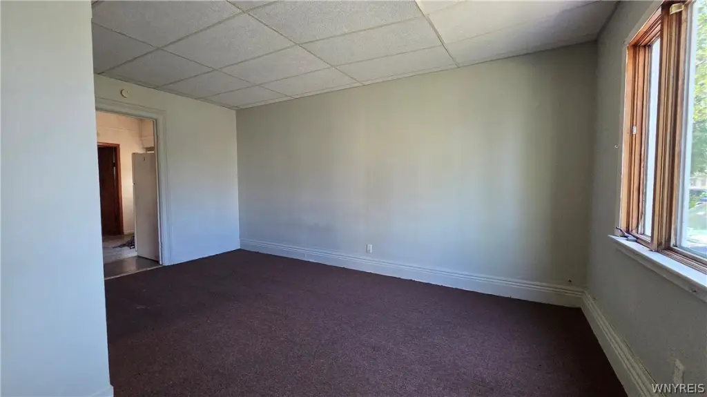 Picture 5