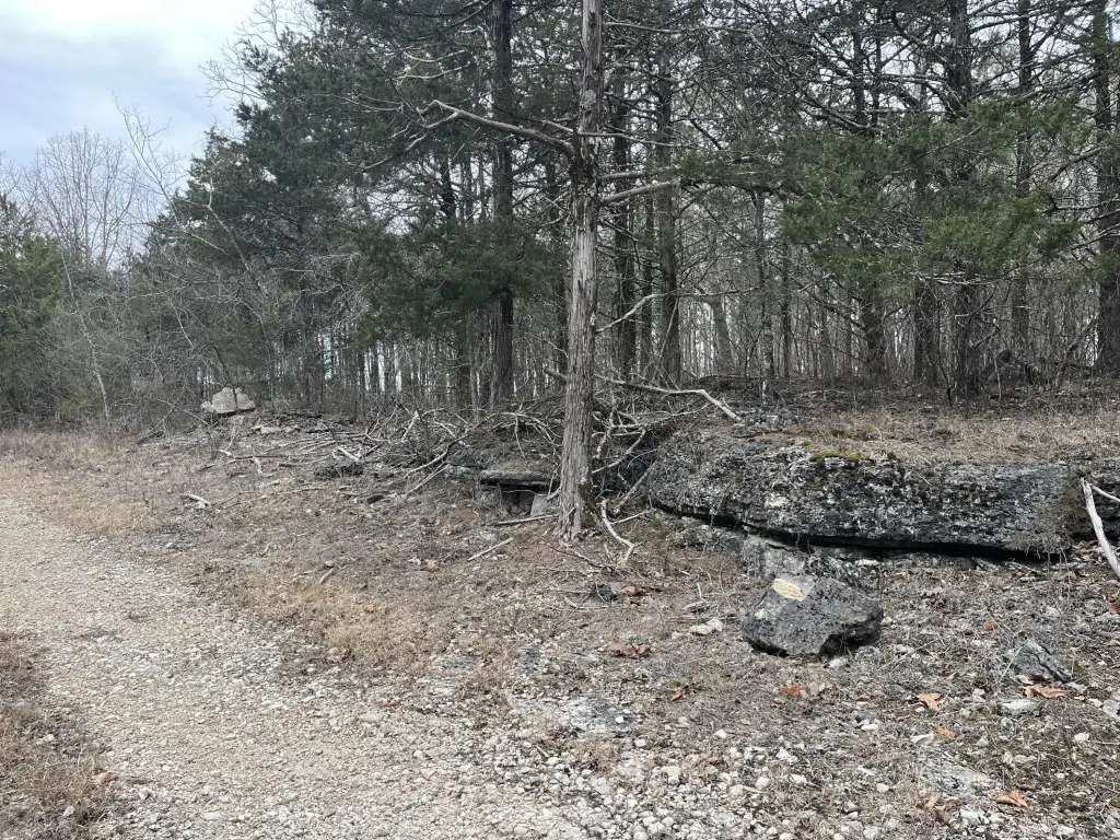 Picture 3