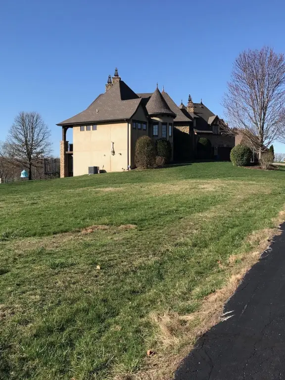 Picture 18