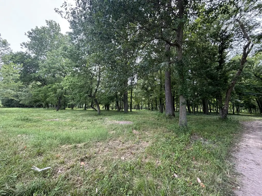Picture 15