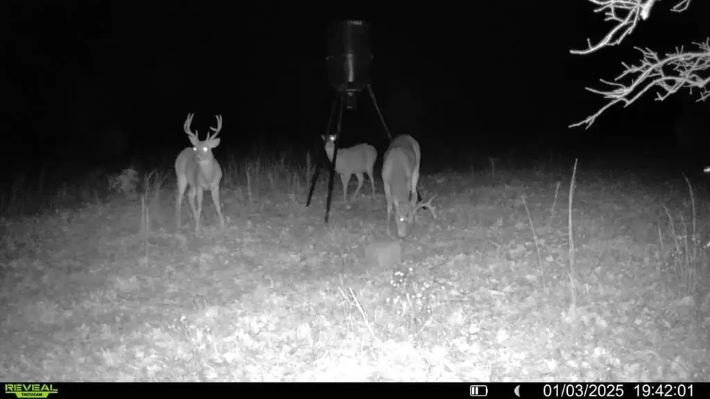 Picture 5