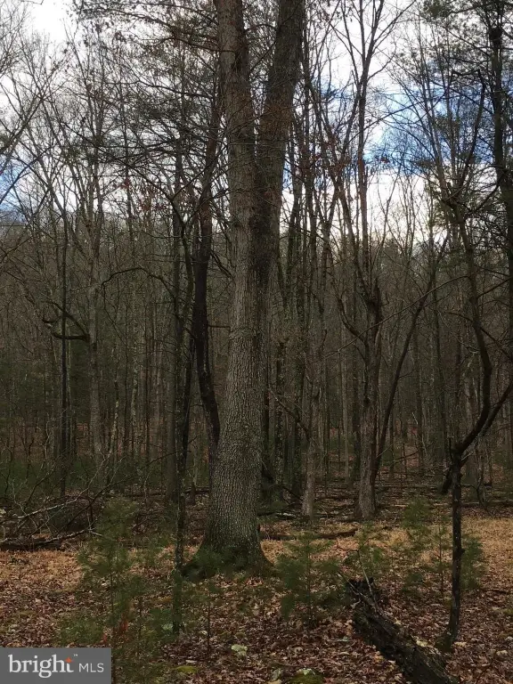 Picture 4