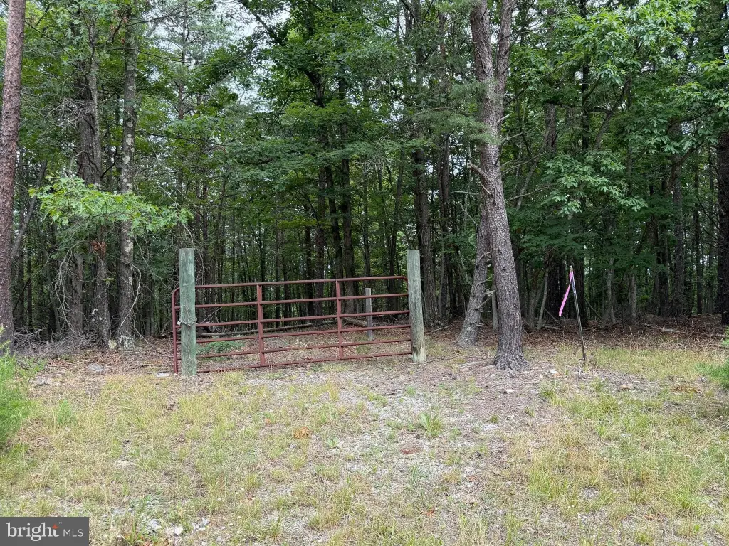 Picture 23
