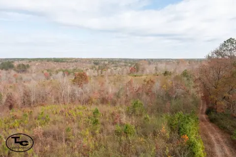 141 Acres of Hunting Land