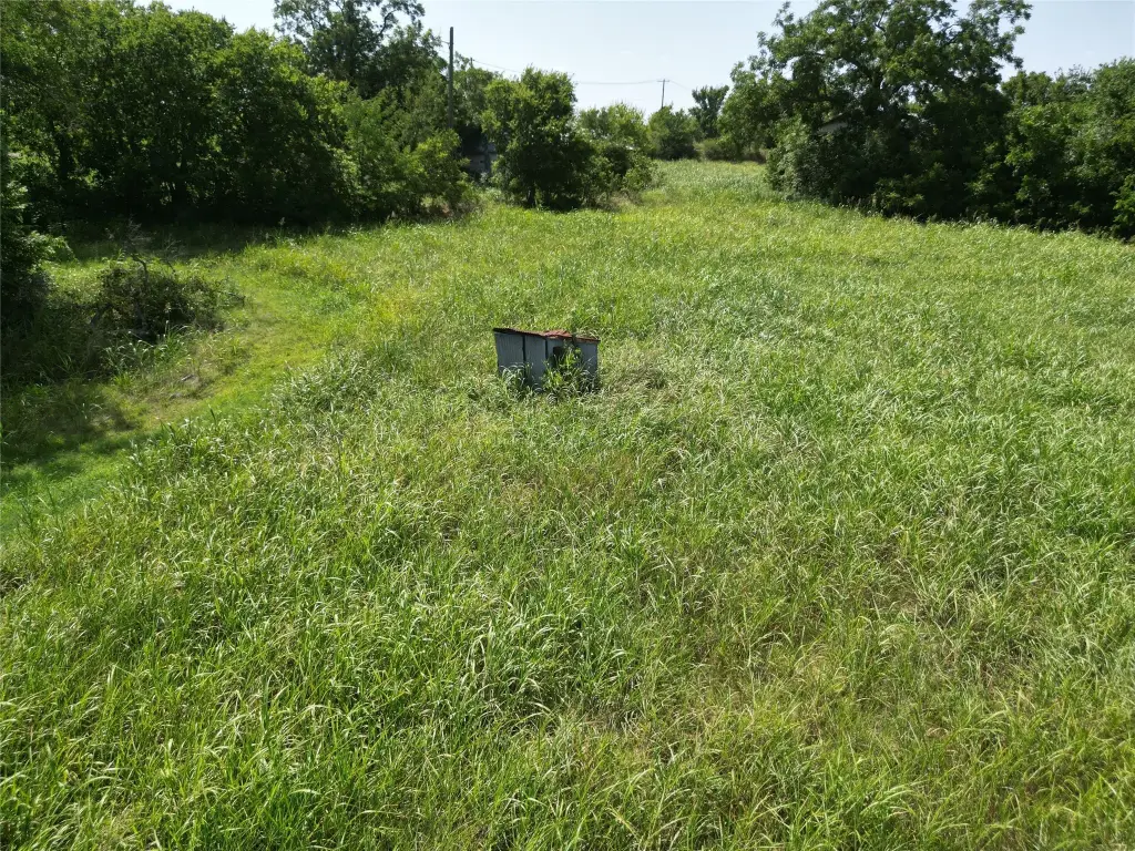 Picture 31