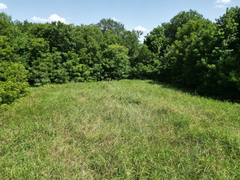 Picture 23