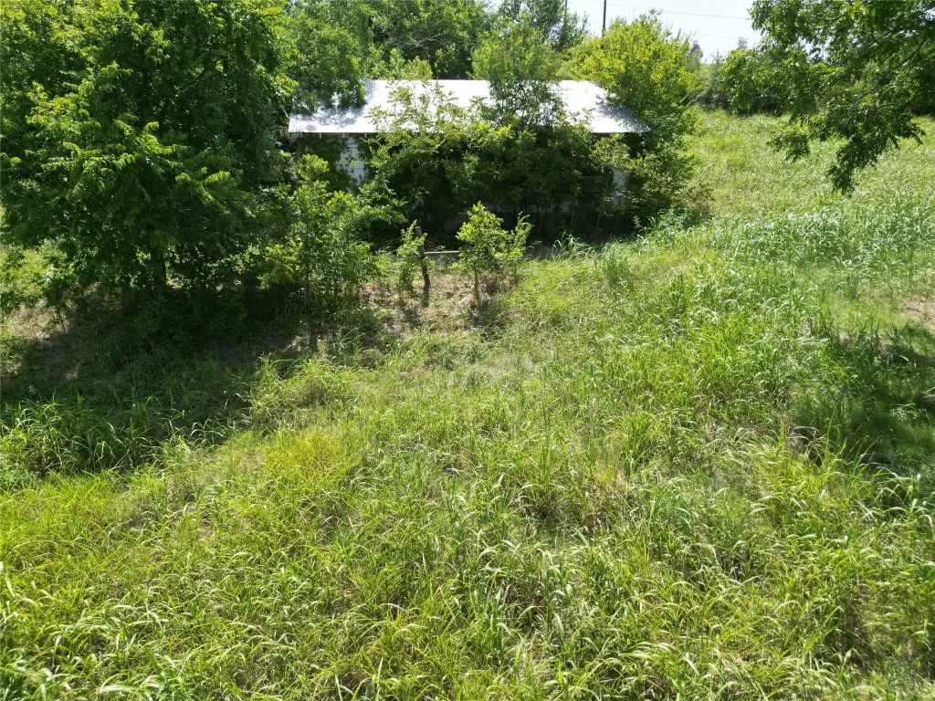 Picture 17