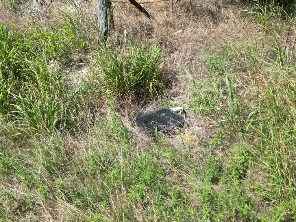 Picture 38