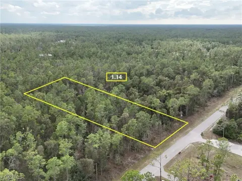 Naples Land: 1.14 Acre Lot