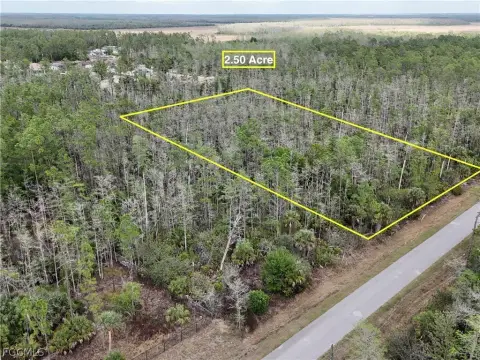 Naples Land: 2.5 Acre Lot