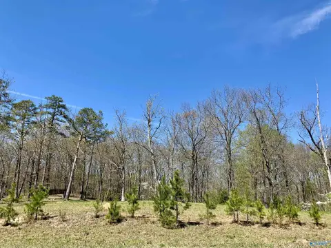 Keel Mountain Acreage in Gurley
