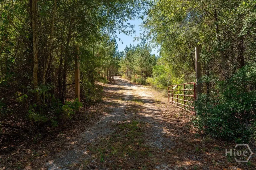 Picture 6