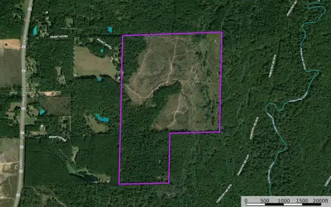 200 Acres of Scenic Timberland