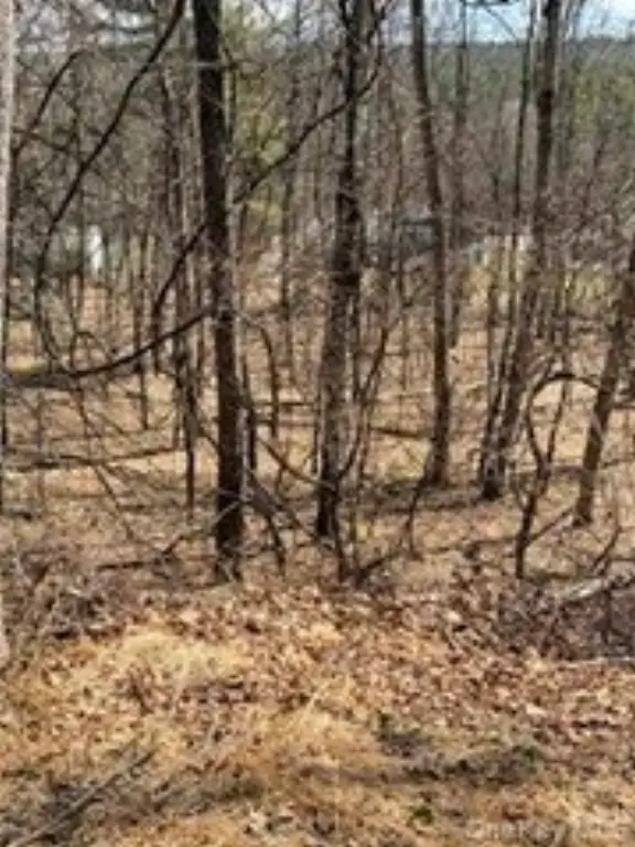 Picture 7