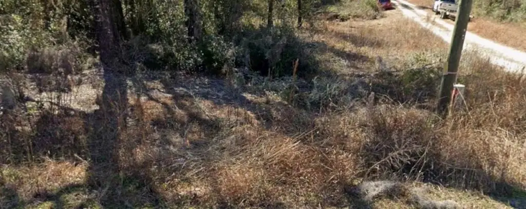 Picture 2