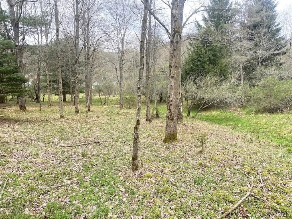 Picture 27