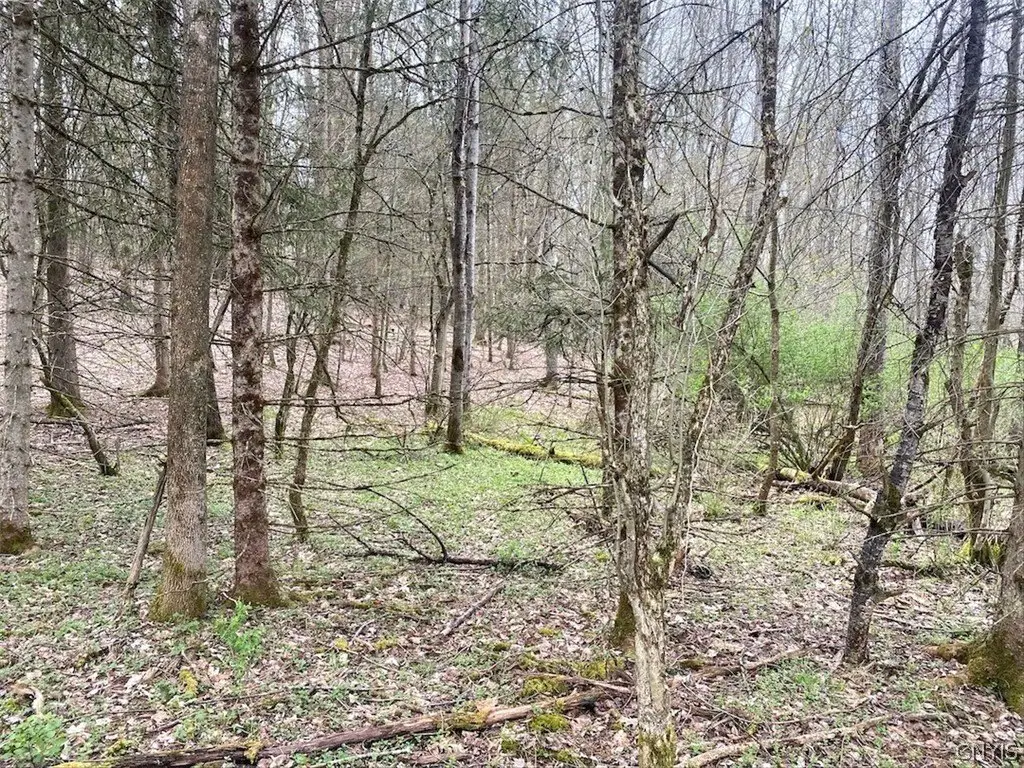 Picture 33
