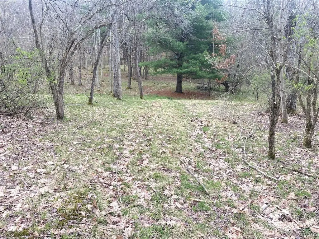 Picture 41