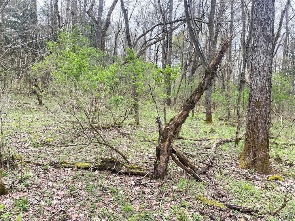 Picture 37