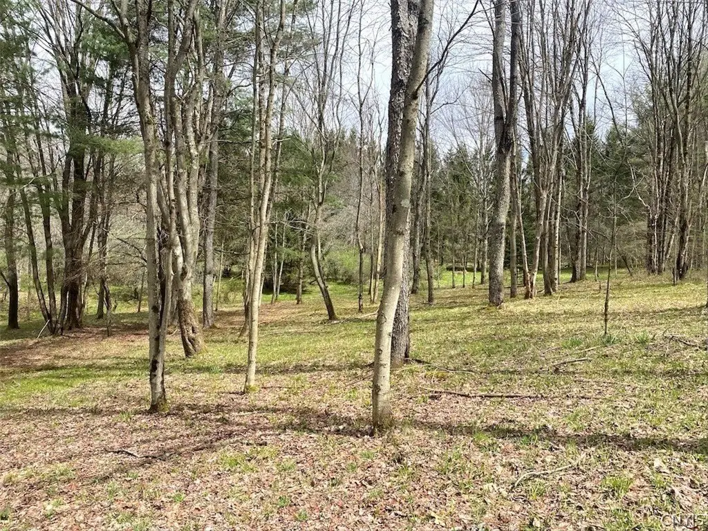 Picture 28