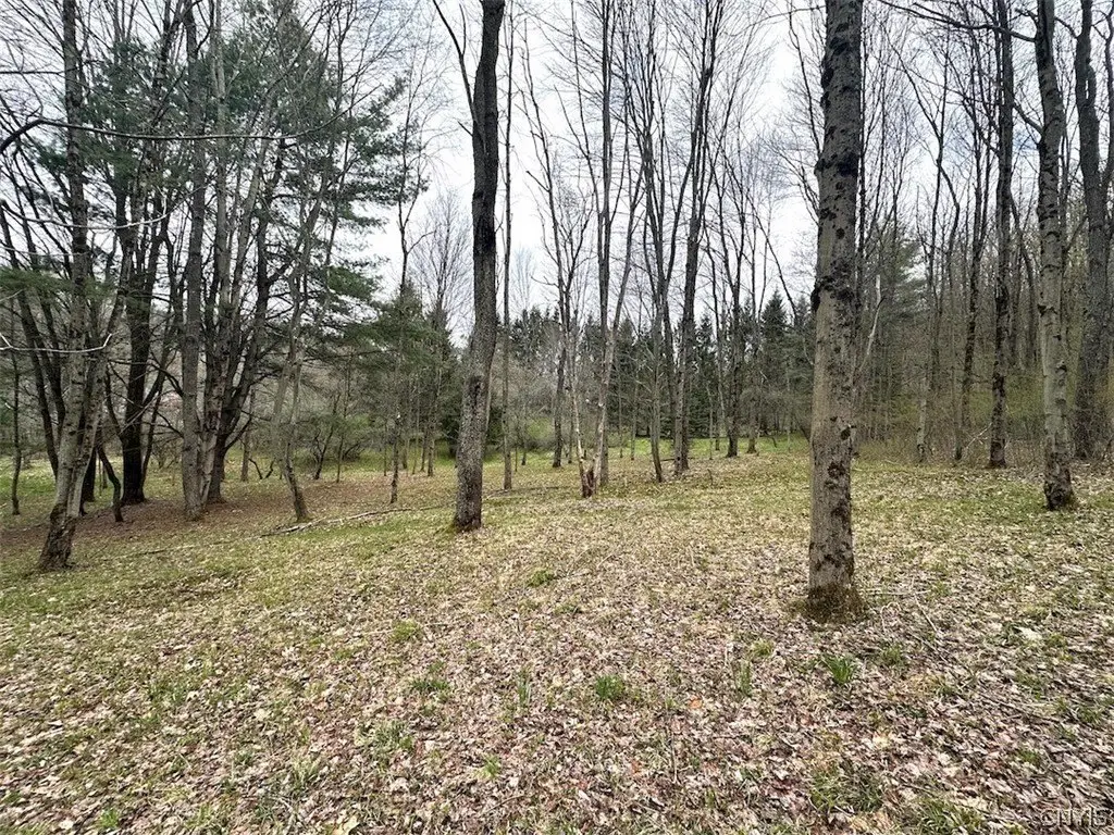 Picture 30