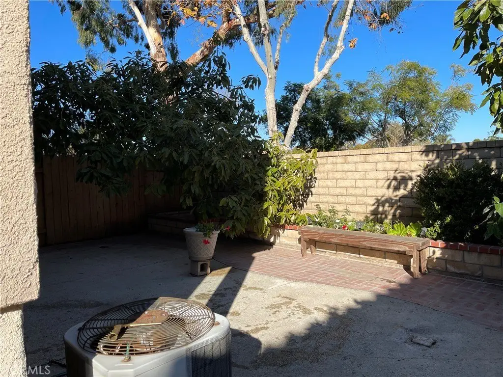 Picture 25