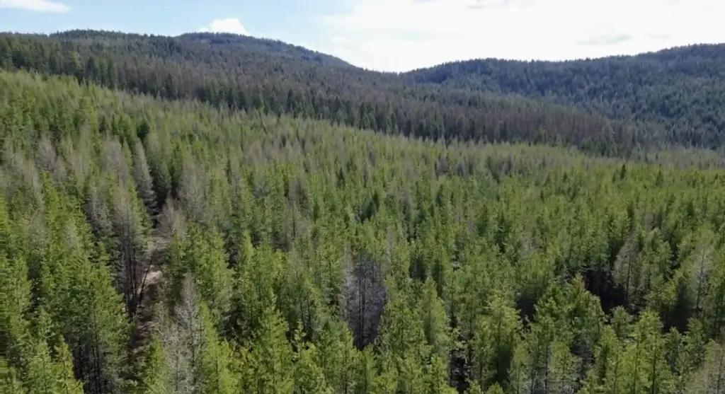 Picture 7