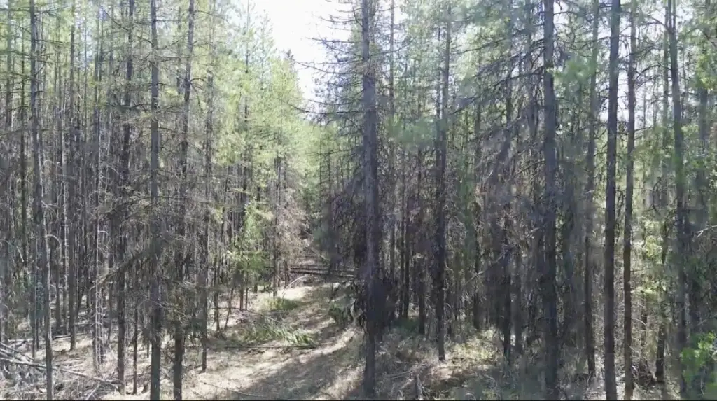 Picture 9