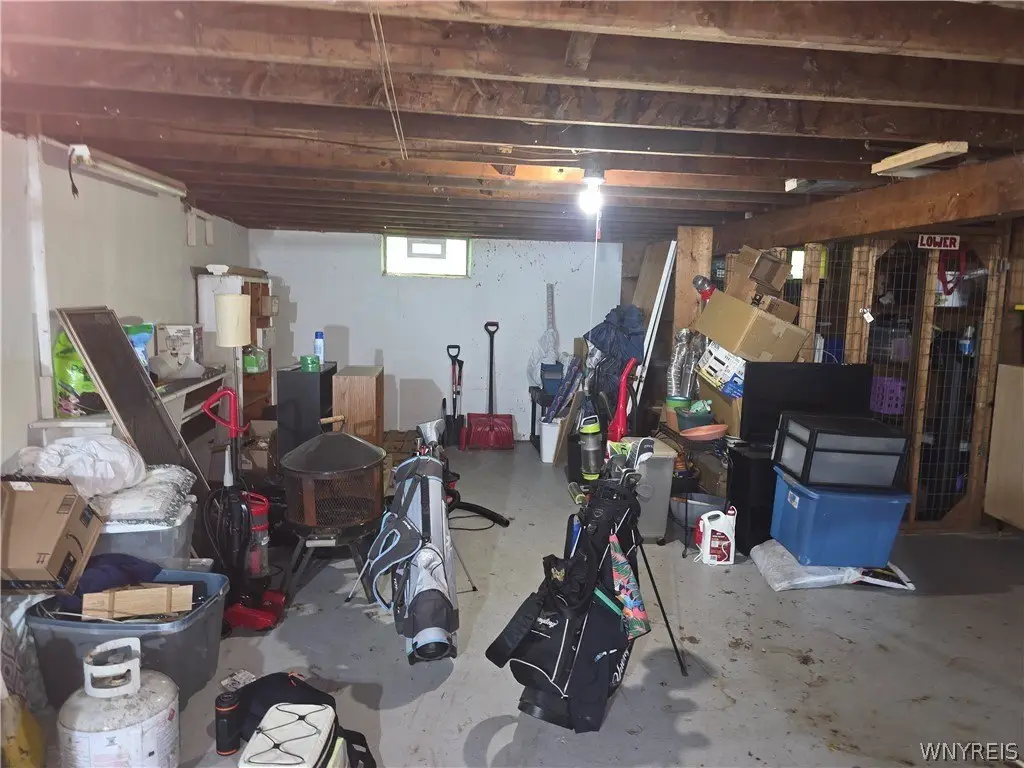 Picture 14