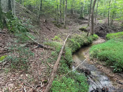 Rutherfordton Land in Gated Community